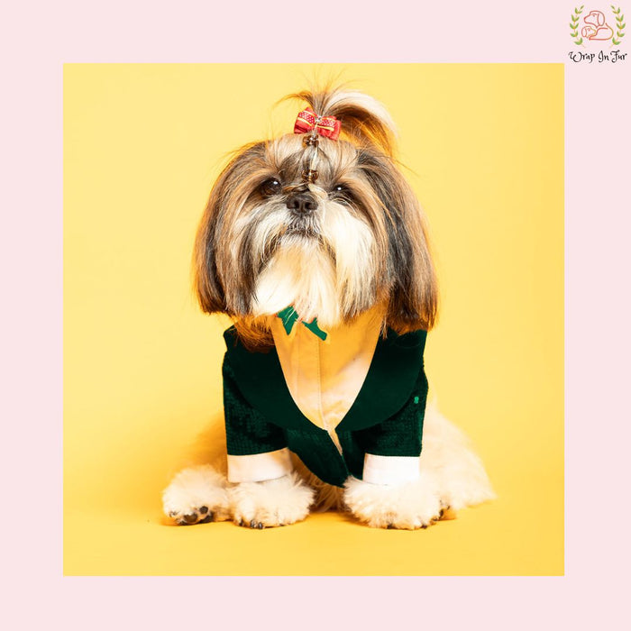 Emerald Green Sequin Dog Tuxedo Jacket - Festive Formal Suit