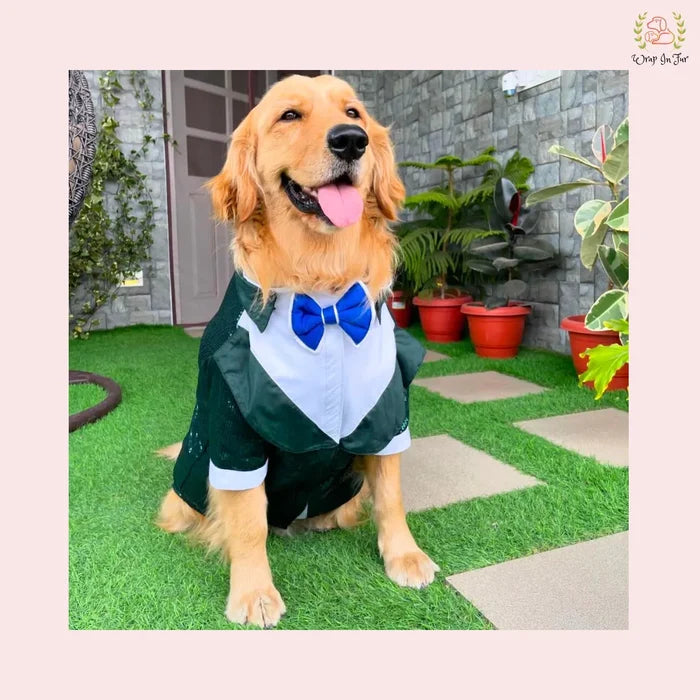 Emerald Green Sequin Dog Tuxedo Jacket - Festive Formal Suit