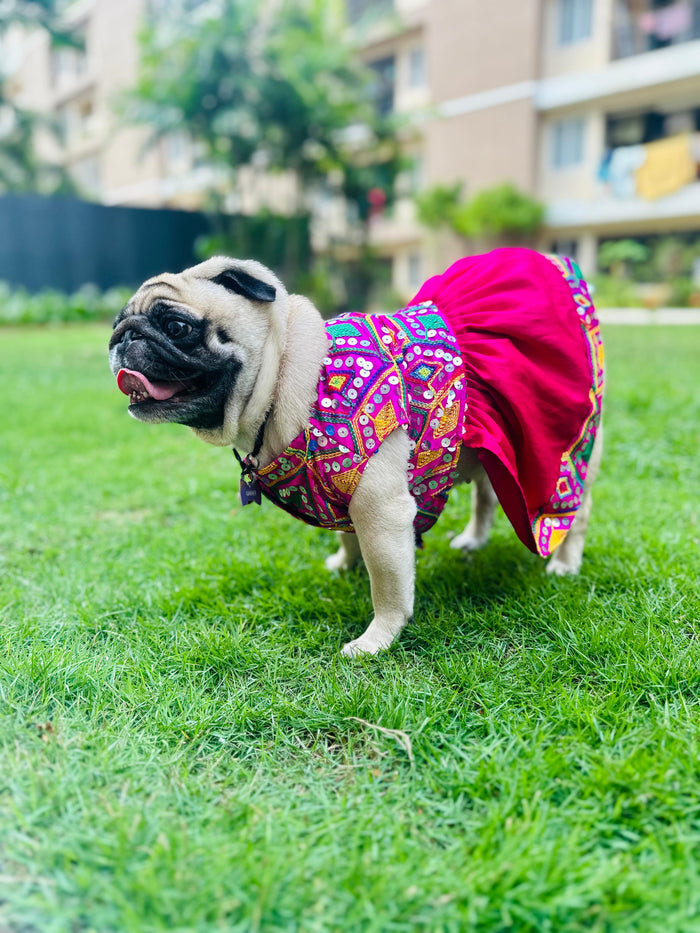 Ethnic Pink Mirror Dog Wedding Frock – Princess Style Dog Dress