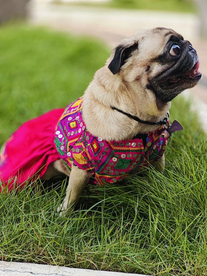 Ethnic Pink Mirror Dog Wedding Frock – Princess Style Dog Dress