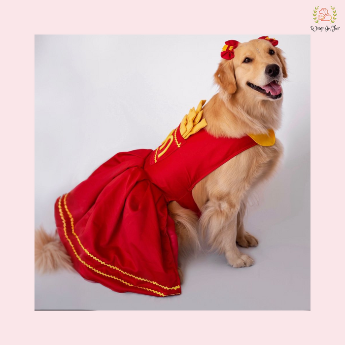 Fast Food French Fry Dog Costume Dress - Red Novelty Frock