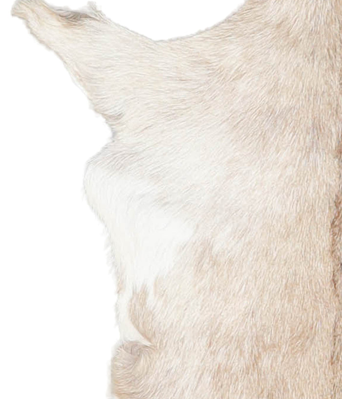Goatskin #A28184