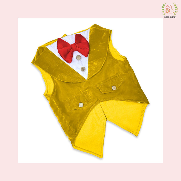 Golden Yellow Velvet Dog Tuxedo Vest - Festive Wedding Suit