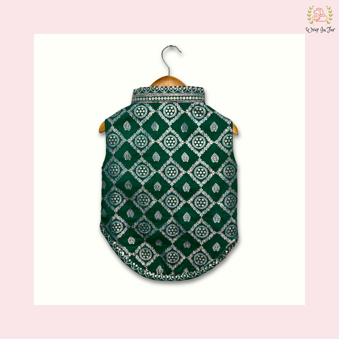 buy Dog Sherwani