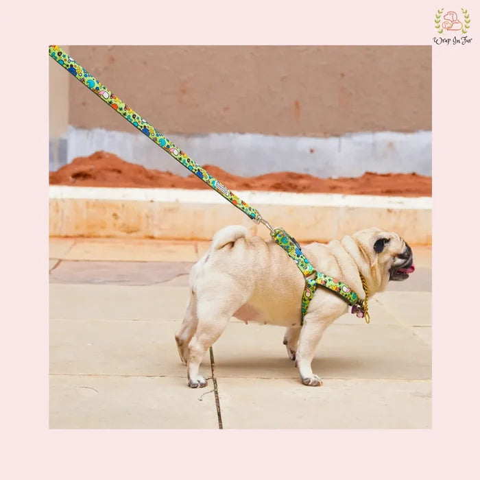 Green Fab Dog Harness with Leash