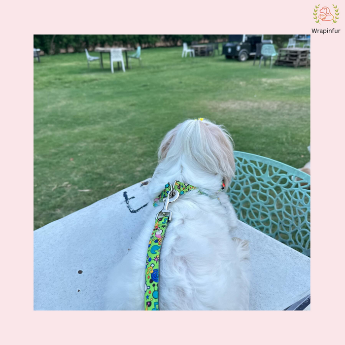 Green Fab Dog Harness with Leash for Small & Large Dogs