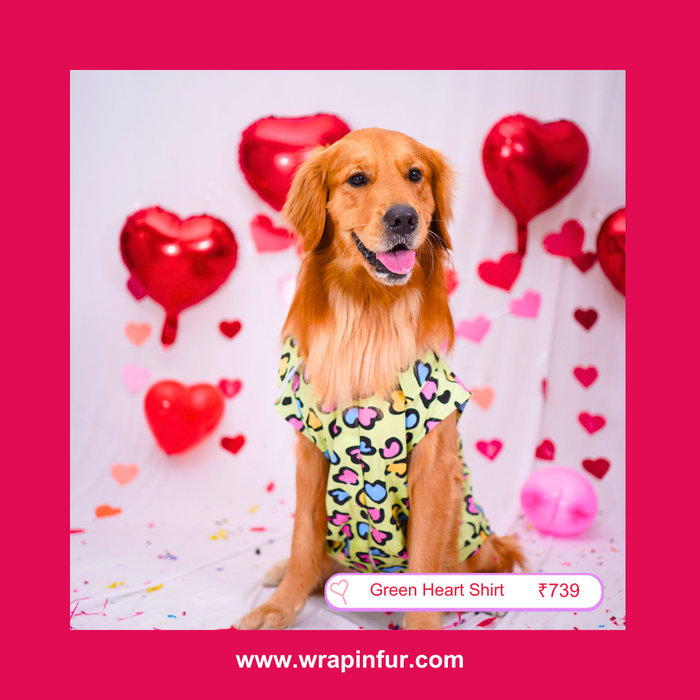 Green Heart Dog Shirt