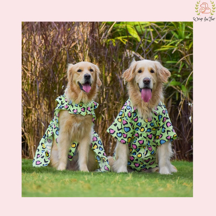 Green Heart Dog Shirt