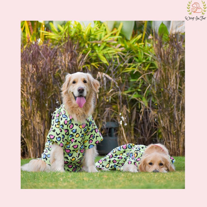 Green Heart Dog Shirt