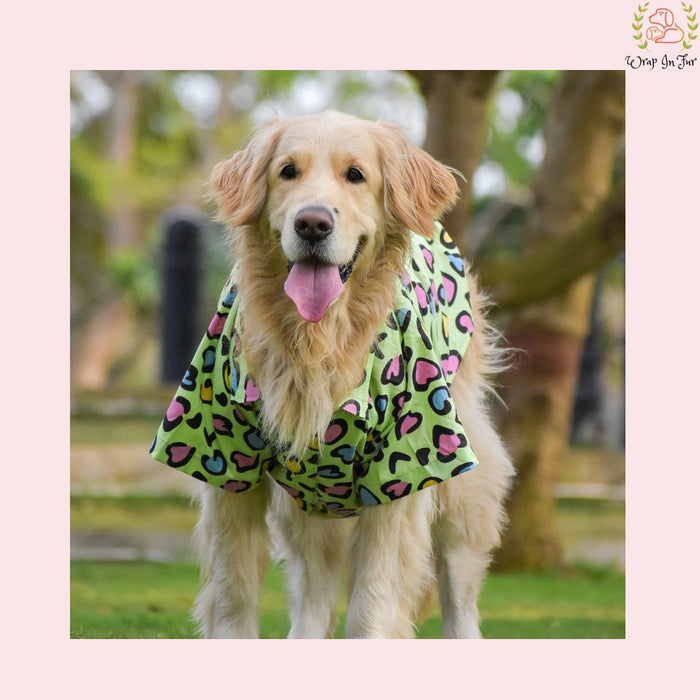 Green Heart Dog Shirt