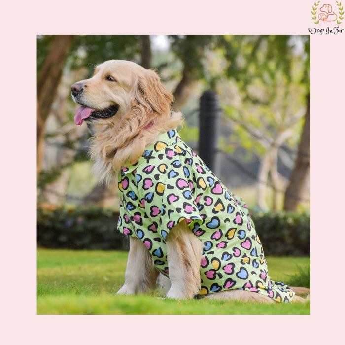 Green Heart Dog Shirt