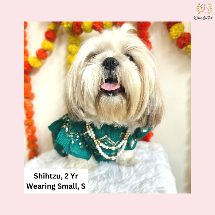 Green Lehenga Choli Dog Bridal Dress for Weddings – Premium Princess Wear