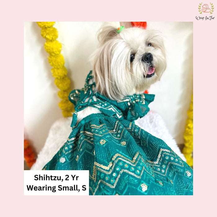 Green Lehenga Choli Dog Bridal Dress for Weddings – Premium Princess Wear