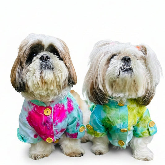 Dog Kurta