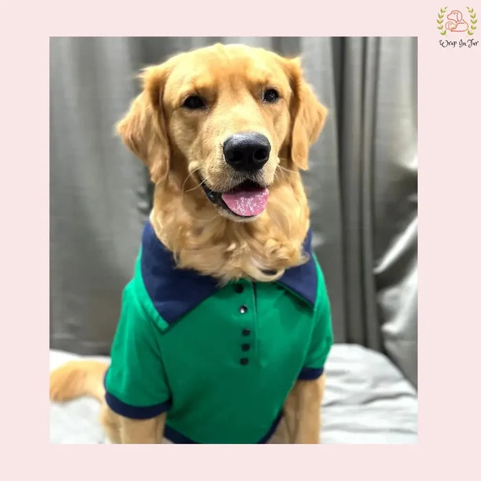 Green Polo Dog T-Shirt