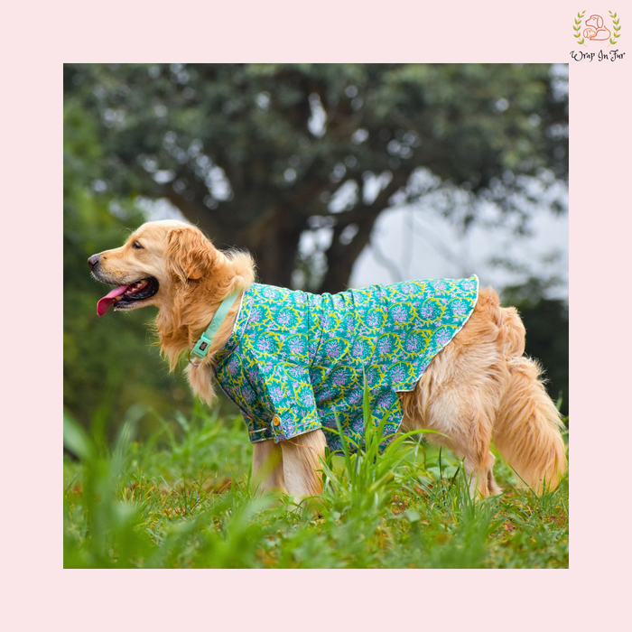 Green & Purple Floral Dog Kurta - Traditional Indian Dog Ethnic Wear Dress