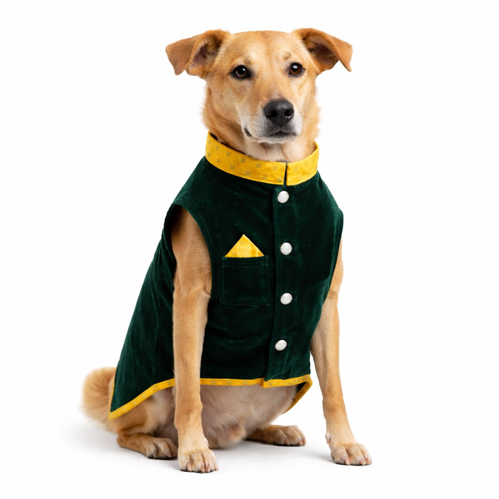 Green Velvet Maharaja jacket Dog Sherwani