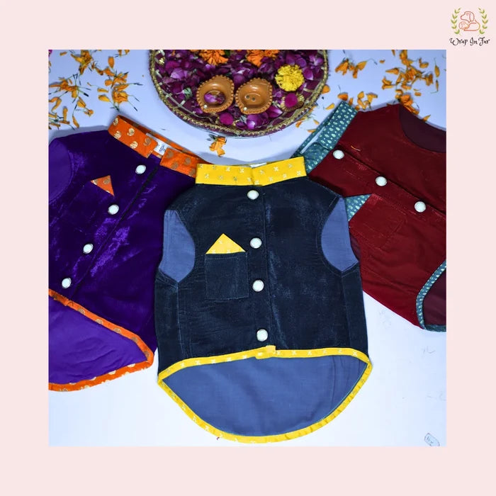 Wedding function Maharaja dog jacket kurta set