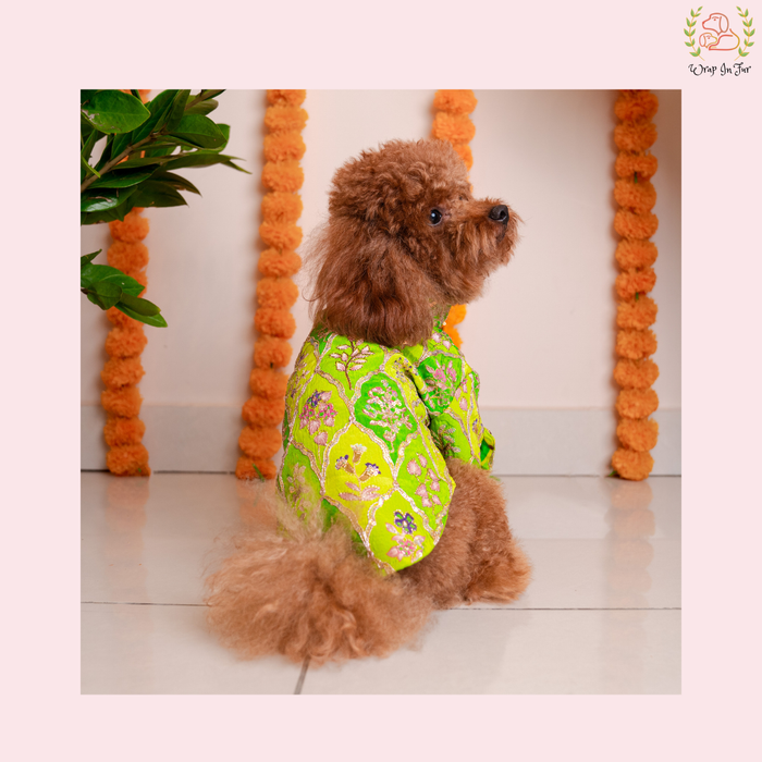Green Zari Dog Kurta - Royal Indian Dog Ethnic Wear Dress