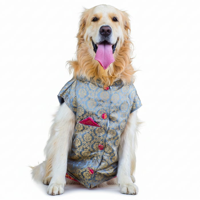 Grey Dog Sherwani