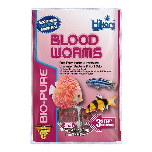 Hikari Bio-Pure Frozen Bloodworms Cube 3.5 oz for sale