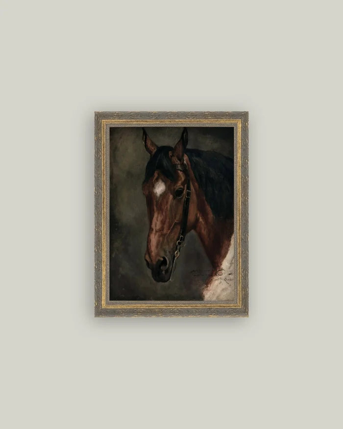 Horse Portrait Framed Antique Art (Various Sizes)