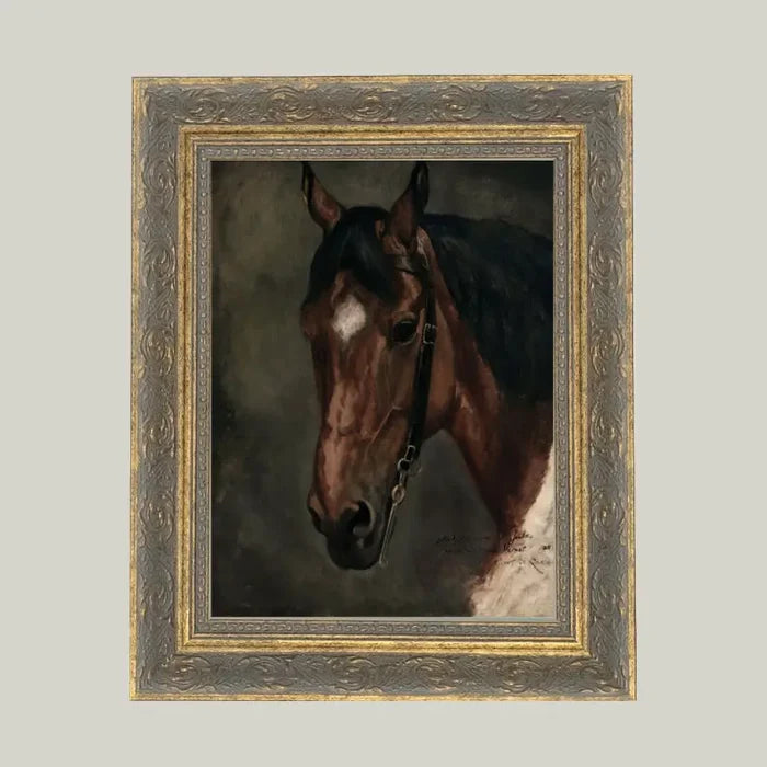 Horse Portrait Framed Antique Art (Various Sizes)