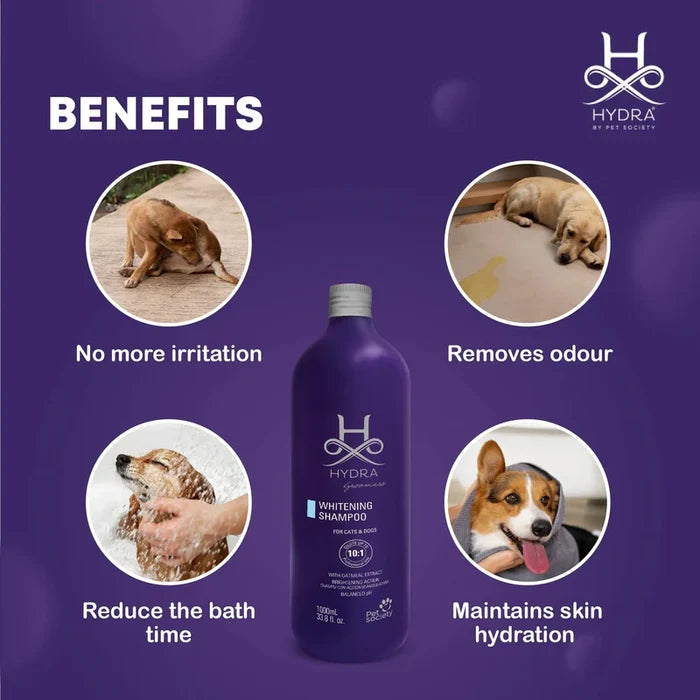 Hydra Groomers Whitening Shampoo for Dogs & Cats 1L | Coat Brightener