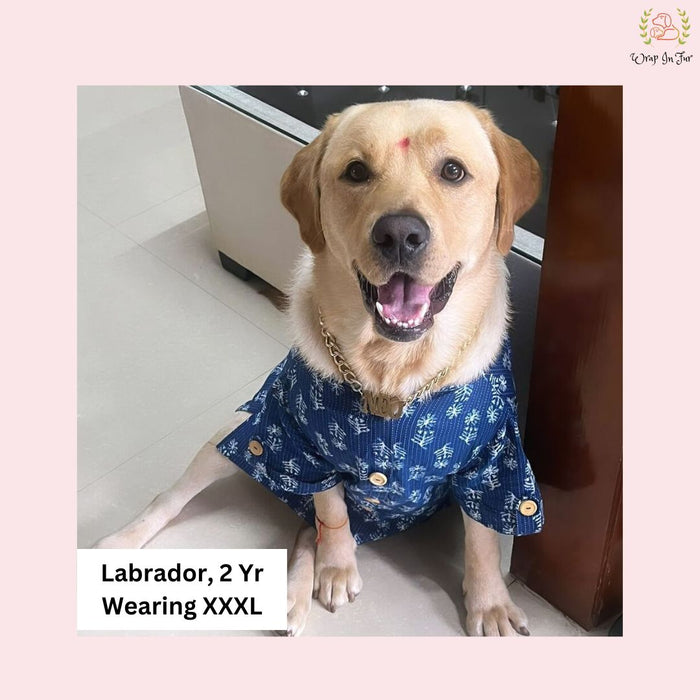 Indigo Blue Block Print Dog Kurta - Traditional Indian Pet Ethnic Wear