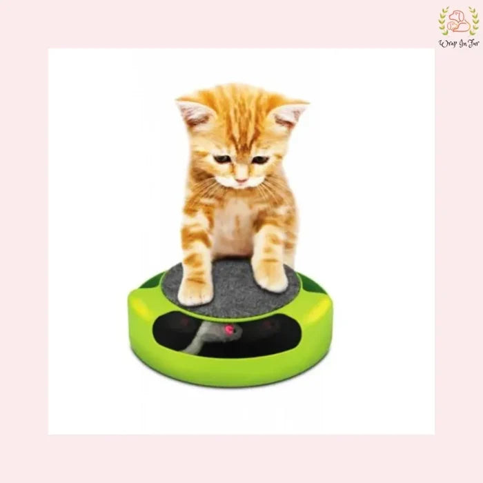 Interactive Cat Chase Toy