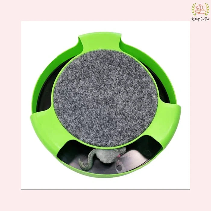 Interactive Cat Chase Toy