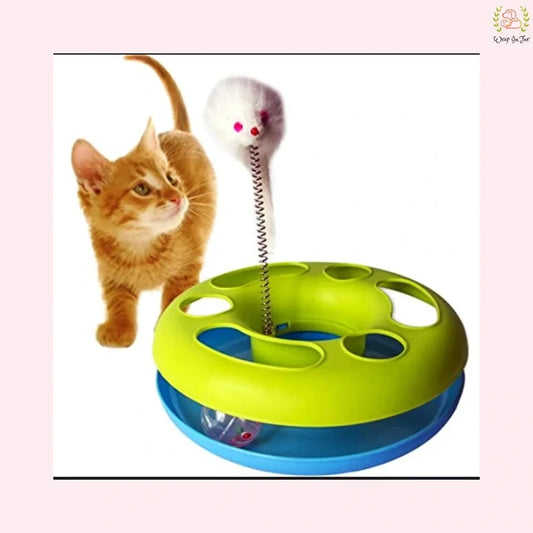 Interactive Cat Mouse