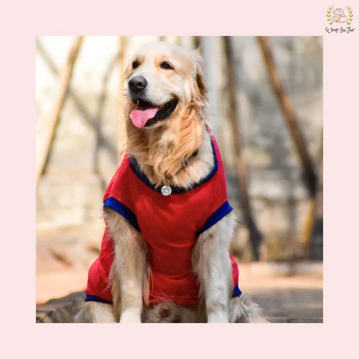 dog slogan t-shirts