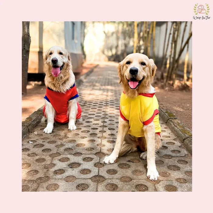 dog printed t-shirts