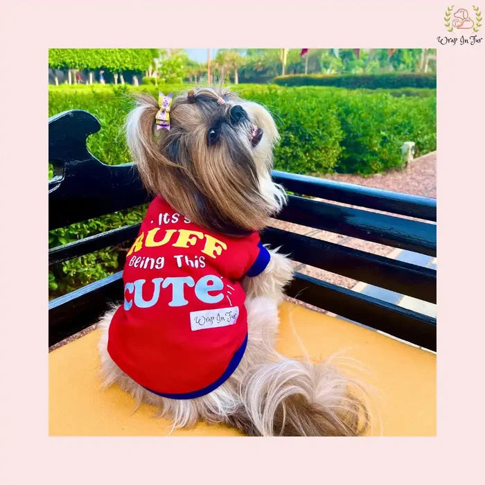 dog slogan t-shirts