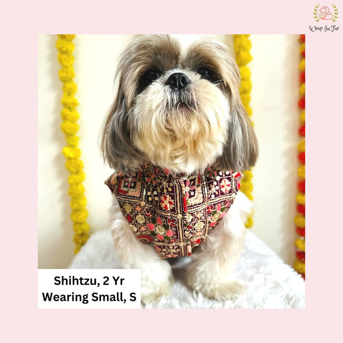 Jagmag dog sherwani