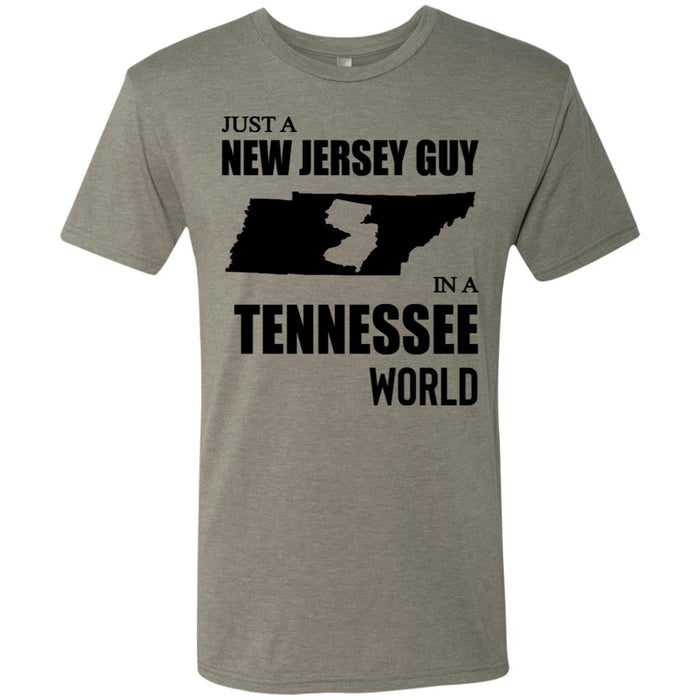 NL6010 Next Level Men's Triblend T-Shirt / Venetian Grey / S
