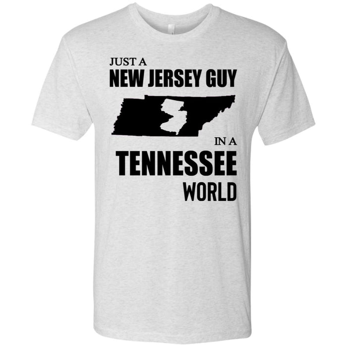 NL6010 Next Level Men's Triblend T-Shirt / Heather White / S