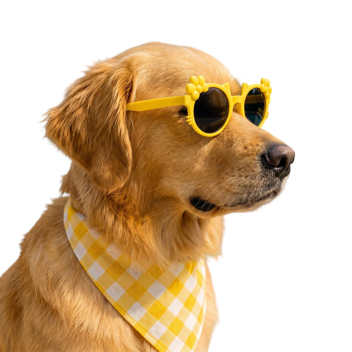 Kitty Bloom Dog Sunglasses