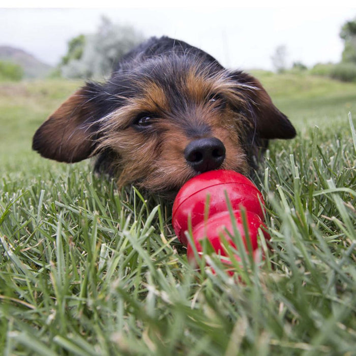 Kong Easy Treat-Peanut Butter