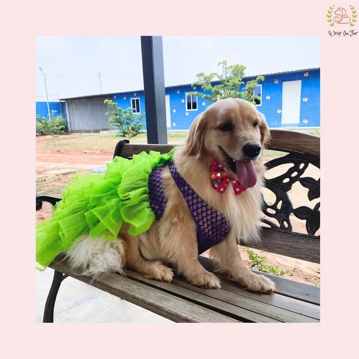 Luxury Dog Bridal Dress: Layered Neon Tulle and Brocade Party Gown
