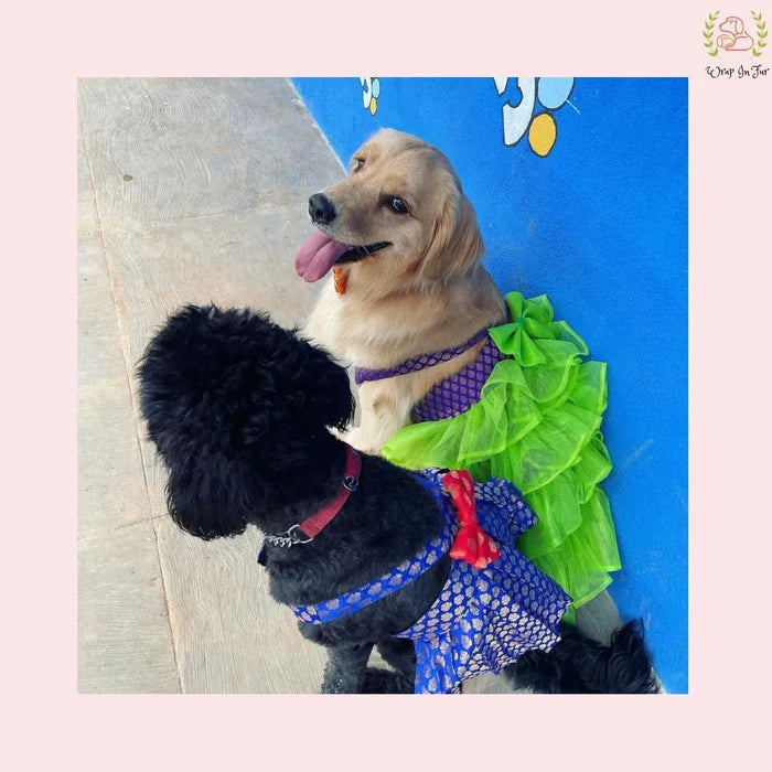 Luxury Dog Bridal Dress: Layered Neon Tulle and Brocade Party Gown