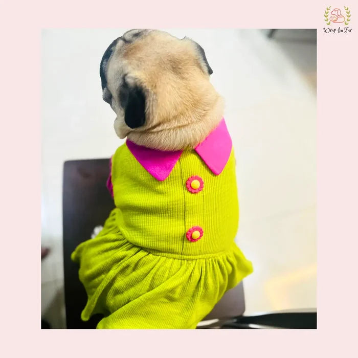 Lemon Dog Princess Frock – Wedding Outfit for Dogs