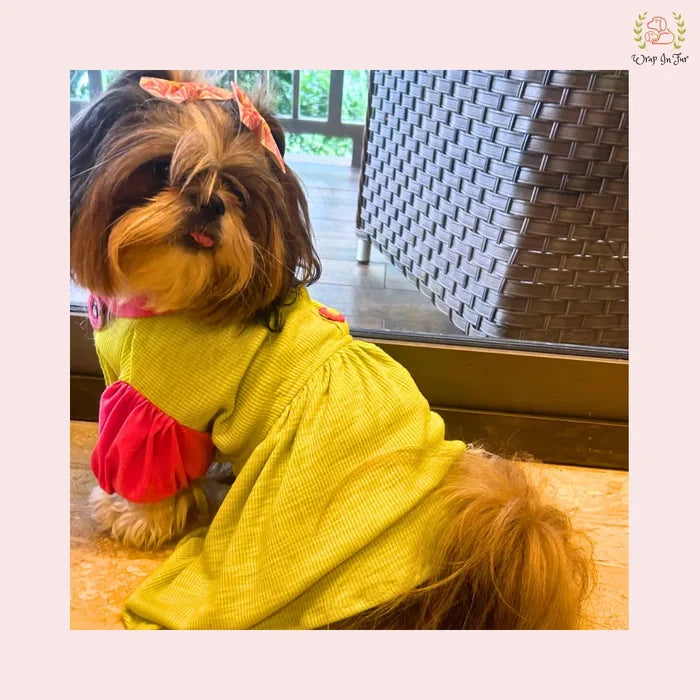 Lemon Dog Princess Frock – Wedding Outfit for Dogs