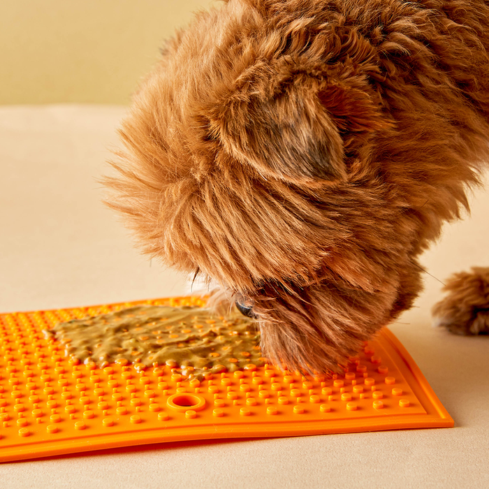 Lick Pad w/ Suction Cup-Square