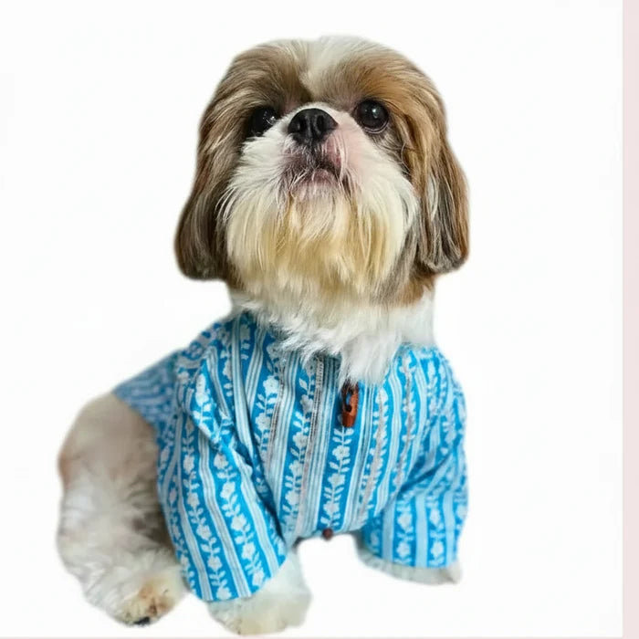 Light Blue Floral Dog Kurta - Traditional Indian Dog Ethnic Wear