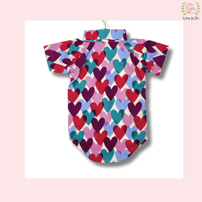 Love Splash Dog Shirt