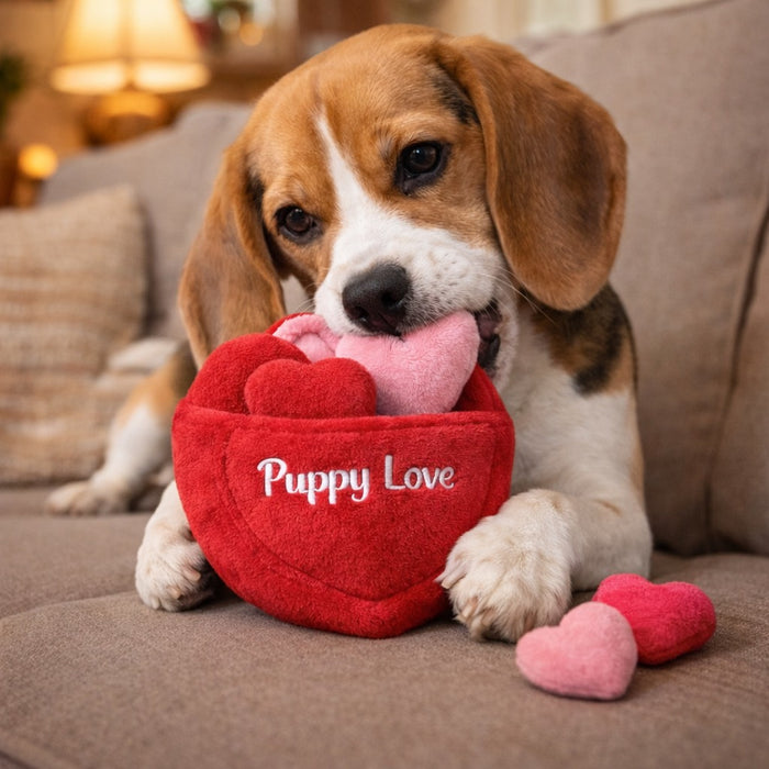 Love Valentine Box – Limited Edition
