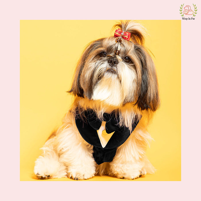 Luxury Black Velvet Dog Tuxedo Vest - Formal Wedding Suit