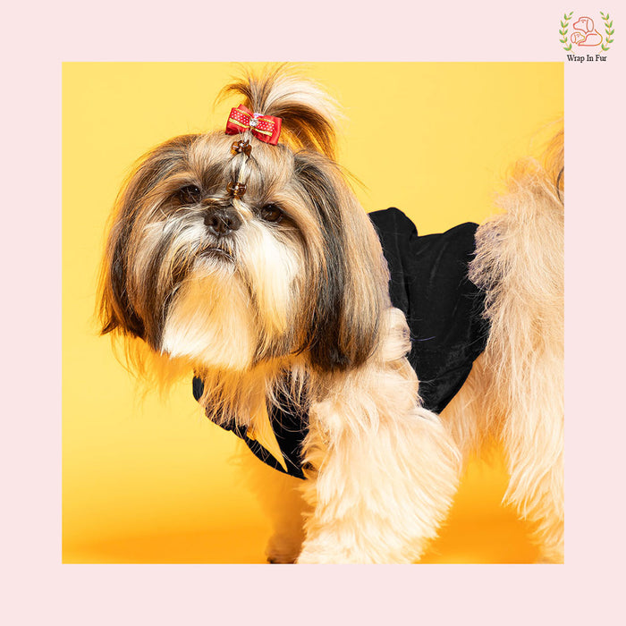 Luxury Black Velvet Dog Tuxedo Vest - Formal Wedding Suit